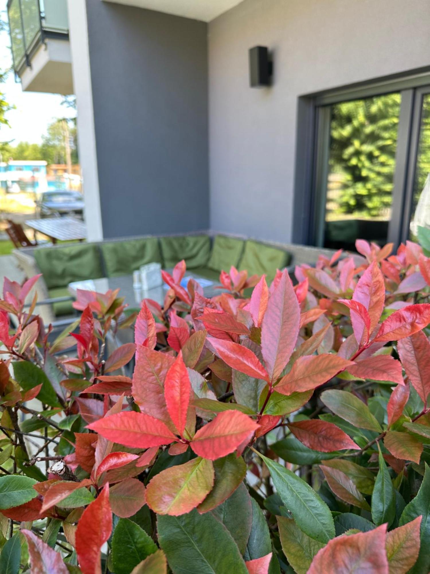 Holiday Siesta Pensjonat, Domki 레왈 외부 사진